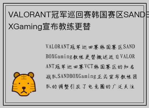 VALORANT冠军巡回赛韩国赛区SANDBOXGaming宣布教练更替