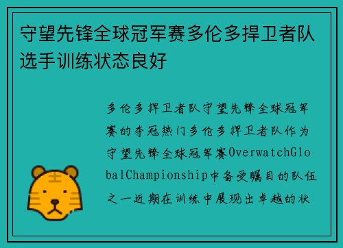 守望先锋全球冠军赛多伦多捍卫者队选手训练状态良好