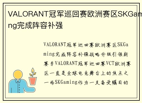 VALORANT冠军巡回赛欧洲赛区SKGaming完成阵容补强