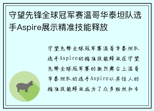 守望先锋全球冠军赛温哥华泰坦队选手Aspire展示精准技能释放