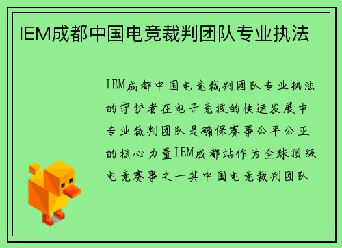 IEM成都中国电竞裁判团队专业执法